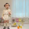 MILANCEL Spring Baby Girls Clothes Autumn Fairy Style Girl Fashion Outfits Clothing Set 2108047074959