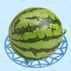 Watermeloen planten dienblad fruit antiseptische opslagtuin en meloen rotte plastic stabiele planters potten
