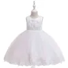 Applique kant meisje jurk feest meisje zomerjurken verjaardag prinses bruiloft bruidsmeisje babyjurken vestidos 3-10 jaar L5097 G1129