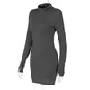 Casual Dresses 2022 Autumn Women's Long-sleeved Tight-fitting Dress Fashion Solid Color Zipper High-neck Short Skirt Lo