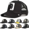 Pantera MH Cap Summer Summer Baseball Anime Gorilla King Blk Trucker Hat Shark Toucan Papai NET Snapbk Mulheres Men8797838