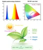الطيف الكامل أدى النمو ضوء 110 فولت 220 فولت داخلي مصباح النمو 500W عالية الكفاءة مضيئة مصابيح النباتات للنباتات نمو خيمة الدفيئة