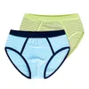 Mjukt ekologisk bomull Barnunderkläder 4 st 4 pcs / mycket tonåring Boxer Baby Briefs Shorts Panties för 4-14 Barn Panty Boys Underkläder 211122