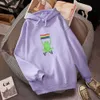 Harajuku Hoodie Creative Rainbow Frog Drukowana Bluza z kapturem Bluza z kapturem Odzież damska Topy Streetwear Kurtka 210809