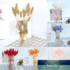 Gedroogde bloemboeket kunstmatige lagurus ovatus decoratie voor thuis el bruiloft PLDI889 decoratieve bloemen krans fabriek prijs expert ontwerp kwaliteit nieuwste stijl