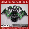 Kawasaki Ninja Ex250 ZX250 RE ZX 250R ZX-250R 2008年250 ZX250R 2008 2009 2011 2012 EX250R 08 09 10 11 12注入フェアリンググリーンBLK