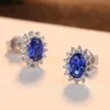 Stud Hongyinsi Fashion S925 Sterling Silverörhängen Blue Zirconia 925 Bling