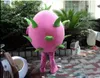 Halloween Dragon Fruit Mascotte Kostuum Hoge Kwaliteit Aanpassen Cartoon Pluche Anime Thema Karakter Volwassen maat Kerst Carnaval Fancy Dress