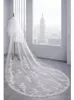 Voiles de mariée mode cathédrale voile dentelle coiffe Double couche 3.5 mètres Super Long Applique bord blanc ou ivoire