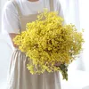 Natural Dried Preserved Flowers Gypsophila Paniculata Baby's Breath Flower Bouquets Gift for Wedding Home Decor Props Po 220311