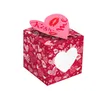 Fournitures de fête saint valentin câlin amour embrasse moi rose boîte-cadeau de biscuits trois dimensions carton couple cadeaux SN3323