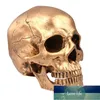 Halloween Skull Realistic Looking Skull Human Skeleton Skull Resin Model Resin Model Halloween Party Supplies Factory price expert design