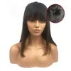 Parrucca da donna Parrucca piena nera lunga diritta naturale Parrucca anteriore in pizzo sintetico senza colla resistente al calore dei capelli umani