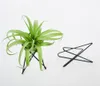 Gartendekorationen Luftpflanzenhalter Tillandsia Basis moderne geometrische Metallständer Flugzeug Displant Display Rack Tabletop Streptophylla Tabl4129550