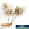 15ピースの結婚式の装飾パンパス草大きなサイズの乾燥植物自然花ブーケ羽の花コーヒーショップの家の装飾1