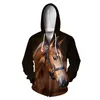 Män Sweatshirt Kvinnor Hoodies Rolig Animal Horse Färgglada Casual Fashion 3D Print Zipper 7XL 210813