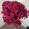 1Bunch / 40x20cm / 30colors Anna Hydrangea Hela gren bevarade torkad blomma bukett POGRGRAPH HOME DESKTOP GARDEN DECORATION 211027