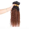 Cabelo Virgem Brasileiro Ombre Weave 3 Pacotes Kinky Curly 1B 30 Médio Auburn Cor Não Processado Malaio Peruano Encaracolado Cabelo Humano 1436247