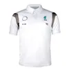 F1 World Formuła 1 Drużyna wyścigowa ta sama koszulka polo Lapel Short Sleeve oddychająca T-shirt305J RZA5