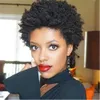 Afro kinky krullend beroemdheid short cut pixie menselijk haar pruiken maagdelijke Braziliaanse volledige machine gemaakt geen kant pruik