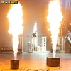 Çift Yönlü Alev Projektör DMX Yangın Makinesi Sahne Aydınlatma Disko Gece Kulübü için Güvenli Kanal Sprey 5 M ile