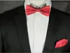 Bräutigam Krawatten 3 Anzug Krawatte Herren formelle Magen dünner Polyester Jacquard Party Plaid Bogen