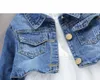 M3949 Kid Girls Denim Mesh Dress Toddler Baby Robes à manches longues Casual Kids Party Clothes