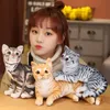 27-36cm Simulation American Shorthai &Siamese Cat Plush Toy Stuffed Lifelike Animal Pet Doll For Children Home Decor Baby Gift LA263