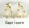 12 Constellation Star Cartilage Earring Stud with Gift Card Gold Color CZ Zodiac Screw Piercing Ear Decor Jewelry