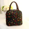 Colorful Insulated Lunch Bag Portable Keep Safe Warm Big Thermal Cooler Business Launch Box School 30+ Storage Bags