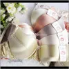 Pure BH Double Faced Real Silk Wire Spons Thin 100 Mulberry BRAS 34754295AB T5C4L T2DKS