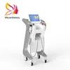 2021 Mesotherapie Schoonheidsstudio RF Gezicht Contouring Stretch Marks Removal Scarlet White Vertical Fractional Microneedle Machine