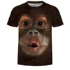 T-shirts pour hommes Style Animal Monkey 3D Face T-shirt d'impression numérique Male252K