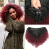 Brasiliansk Afro Kinky Curly Clip In Human Hair Extensions 8st 120g / Set 1b / 4/27 1b / 99j Bourgogne Naturliga Färgklipp på