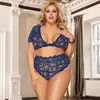 NXY sexy set Women Plus Size Lace Underwear Lingerie 3XL 5XL Ladies Lenceria See Through Ropa Interior Beach Bra Panty 1206