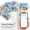 Smart Power Plugs 16A EU / FR WIFI Socket Europese standaard Voice Control Graffiti Plug met meting