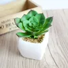 Mini kunstmatige groene planten met keramische pot PVC bonsai potples landschap succulente cactus voor kantoor woondecoratie decoratieve bloemen w