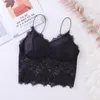 Women's Shapers Women's Comfortable Padded Underwear Cropped Tank Top Fashion Women Lace Sexy Lingerie Sheer Bra