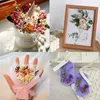 1 Box Real Natural Dried Flower Dry Plants Leaves Aromatherapy Candle Epoxy Resin Jewelry Soap Making DIY Art Craft Accessories Y0630