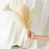 Pampas Grass Decor White Color Fluffy Natural Dried Flowers Bleached Bouquet Boho Vintage Style for Wedding Home Christmas Decor 211012