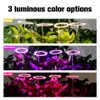 4 anneaux LED Culture de lampe de plante à spectre complet clair pour les plantes succulentes en intérieur et la lumière du soleil floraison rose rouge bleu rouge