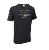 F1 Formula One Racing Suit Team Fans T-shirt Polo Shirt Homme Manches Courtes Car Workwear Personnalisé Augmentation316R