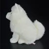 28 cm levensecht SamoYed Gevulde speelgoed Leuke simulatie witte hond puppy pluche dieren speelgoed verjaardagscadeaus Y2007231375860
