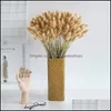 Dekoratif Çiçekler Çelenkler Şenlikli Parti Malzemeleri Ev Bahçe 60 Kaynaklanıyor Pampalar Çim Kurutulmuş Çiçek Kuyruk Doğal Bitkiler Çiçek Buket Decora