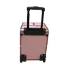 ELITZIA ET7451 TATTOO REMOVAL MACHINES Eyebrow Tatueringar Removals Beauty Machine Trolley Case Type 1 års garanti