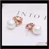 Härlig Diamond Zircon Camillia Flower Pearl Earrings For Woman Girls Super Glittering Ins Fashion Designer Sier Post C6st J74SA