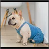 Fournitures de vêtements Home Garden Drop livreur 2021 French Bulldog Denim vêtements pour animaux de compagnie Jumpseau d'hiver Chiens d'hiver d'automne Vêtements pour chien Ja