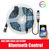 Remsor RGB LED -lampor Bluetooth Control USB 5V Vit Flexibel Lamp Tape Diode Festival fita Bedroom Tira Luces TV Desk Luz8632567