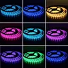 Strisce a LED 5050 300 LED RGB 12V Strip Light White Red Green Blue Ribbon Decorazione Neon Luci per illuminazione esterna interna5039833