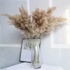 Suszone Pampas Grass Decor Wedding Flower Bunch Naturalne rośliny do domu Dekoracje świąteczne prezent suchy kwiat 211012